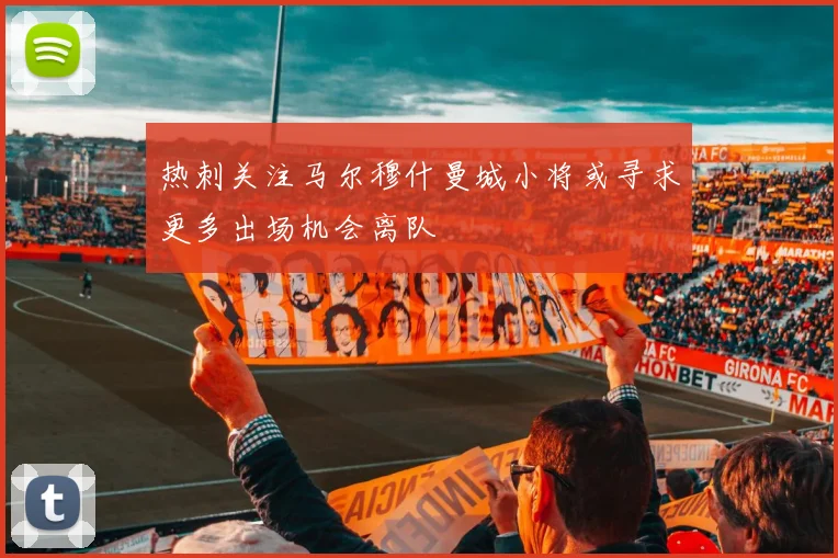 热刺关注马尔穆什曼城小将或寻求更多出场机会离队