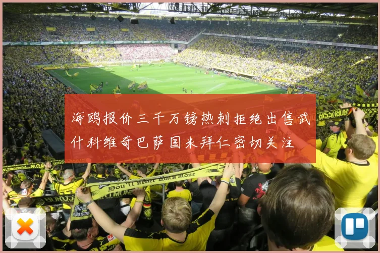 海鸥报价三千万镑热刺拒绝出售武什科维奇巴萨国米拜仁密切关注